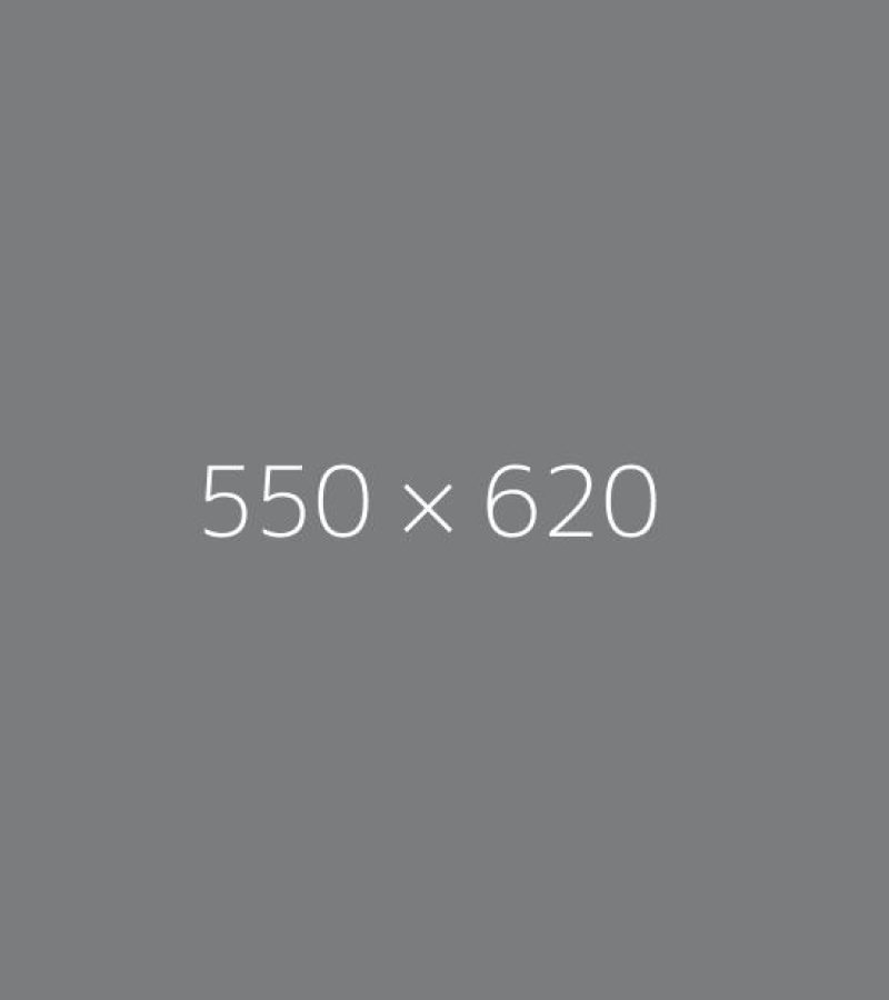 550*620 550*620