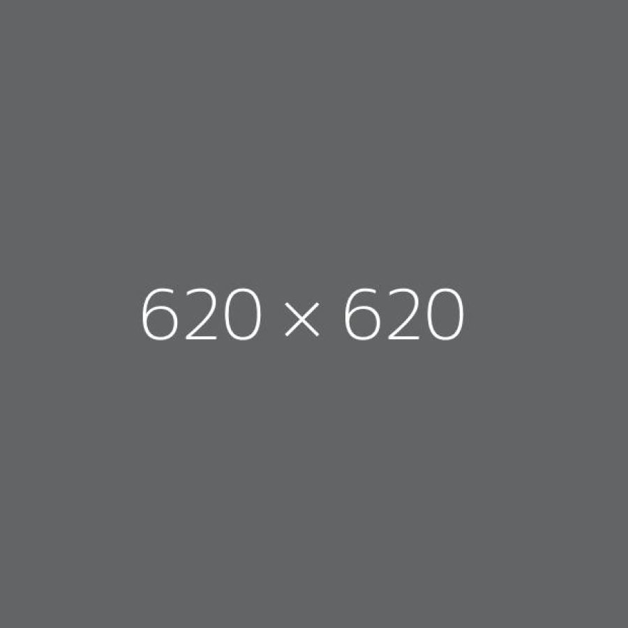 620*620 Application G
